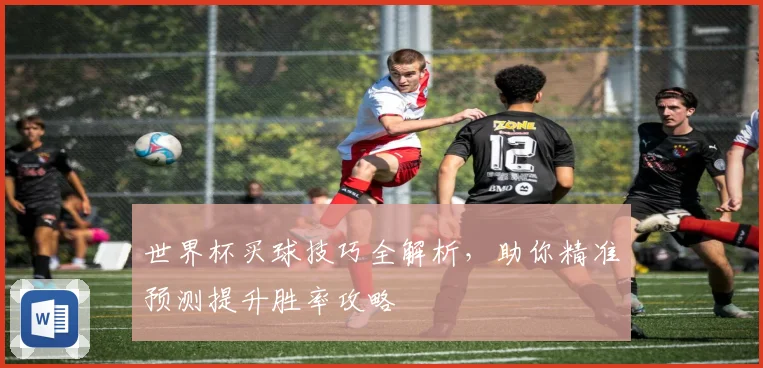 世界杯买球技巧全解析，助你精准预测提升胜率攻略