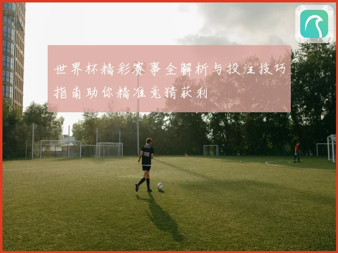 世界杯精彩赛事全解析与投注技巧指南助你精准竞猜获利